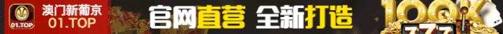 01新葡京